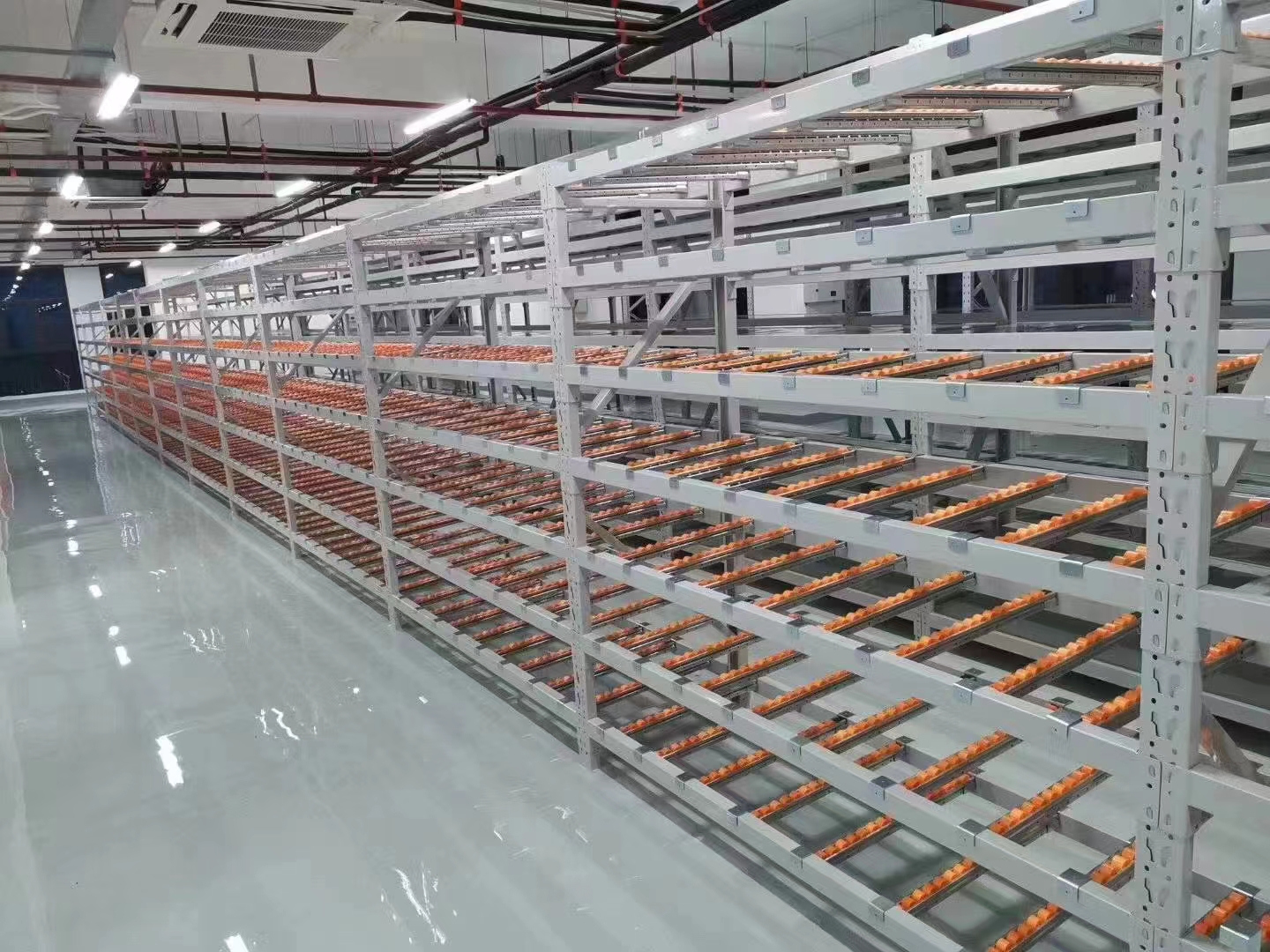 �����l؛��